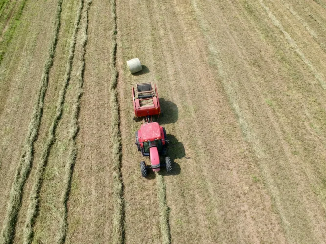 Rising fuel prices undercut promising year for crops in Lycoming County